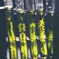 Biofuel: How new microalgae technologies can hasten the end of our reliance on oil