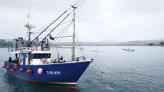 Image source: © Pedro Antonio Salaverría Calahorra –