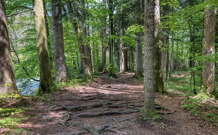 Source: webentwicklerin via