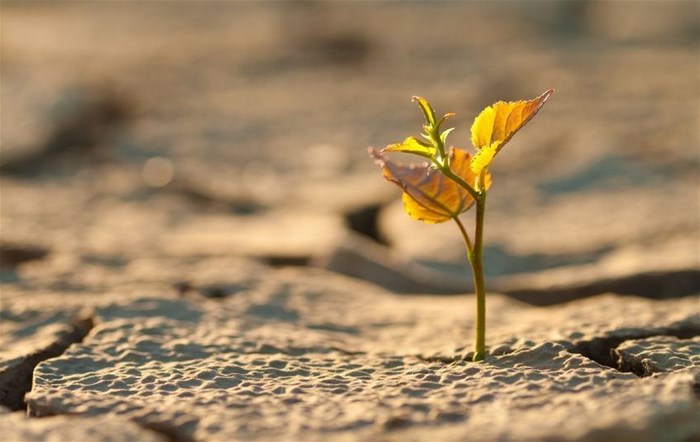 Source: ©Oleksandr Petrunovskyi via