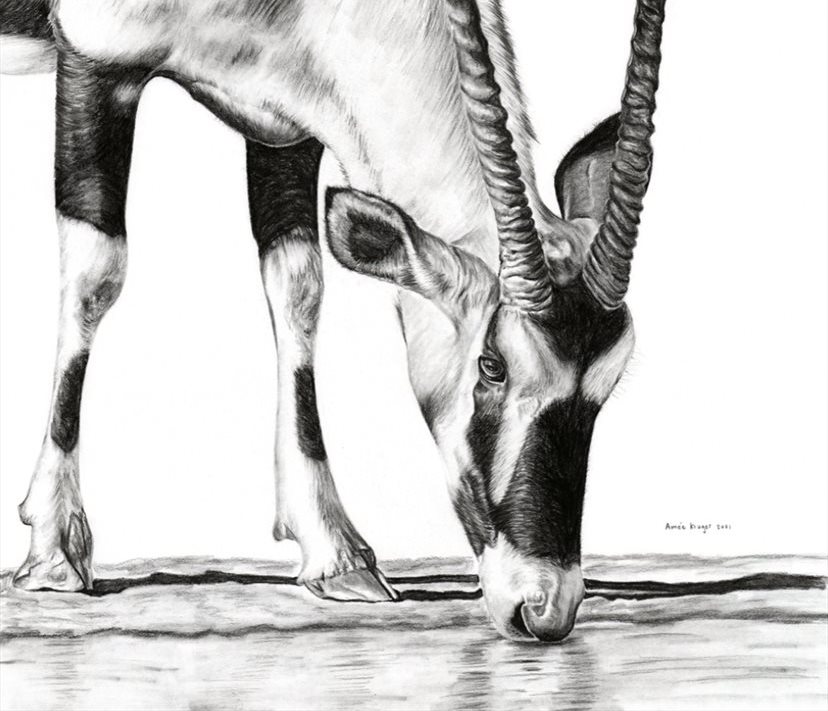 Image supplied: Artwork by Aimee Kruger