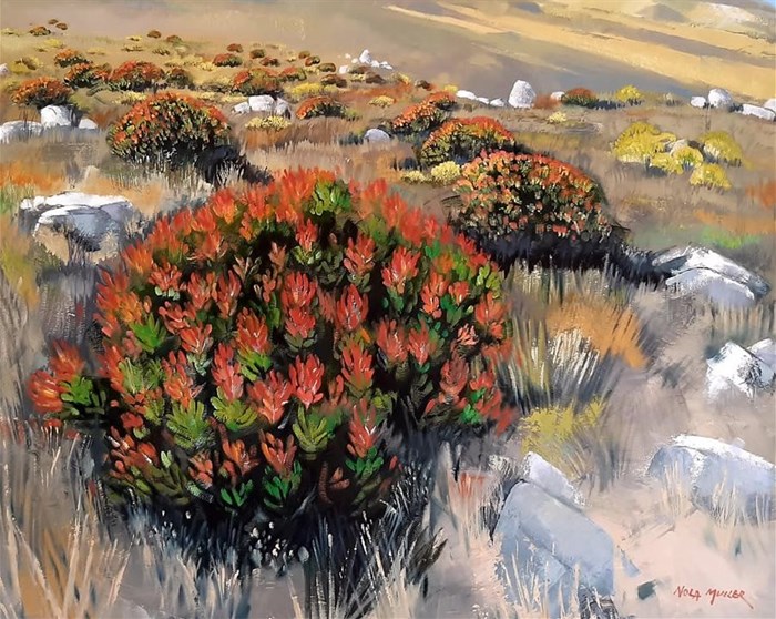 Image supplied: Artwork by Nola Muller