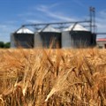 Agri companies withdrawing from Russia