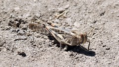 Source: wirestock via