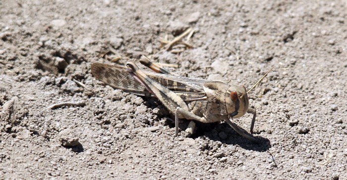 Source: wirestock via