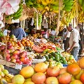 How rural Africa is achieving equitable and effective food system transformation