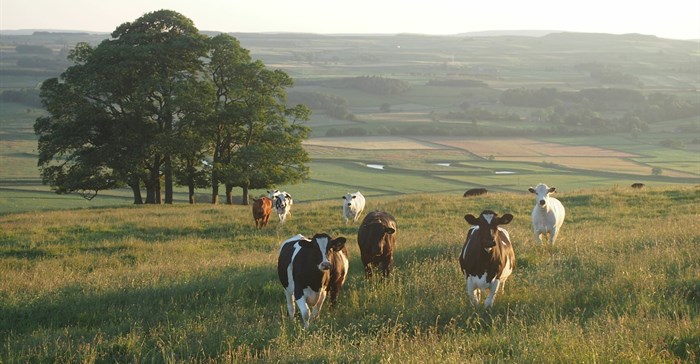 Source: Jakob Cotton via