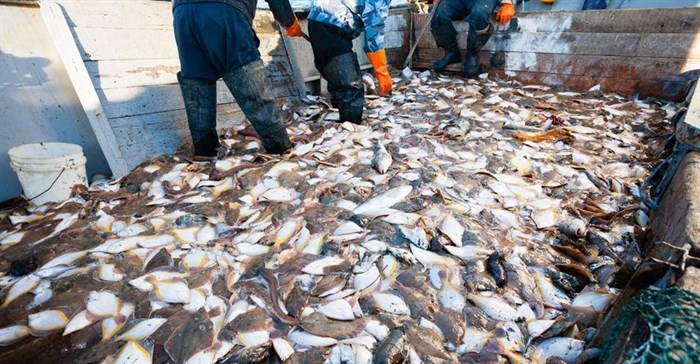 The information age is starting to transform fishing worldwide