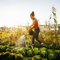 There's a place for big and small farms in securing South Africa's food supply