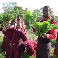 Supplied. Starbucks will choose a school in Johannesburg to pilot a community vegetable garden programme by providing free Starbucks Vegetable Seed Kits and a supply of used coffee grounds