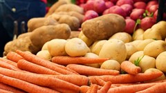 Ukraine-Russia war likely to drive more global and local food insecurity