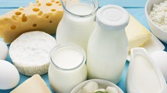 Seminar to explore how businesses can benefit from choosing safe EU food products