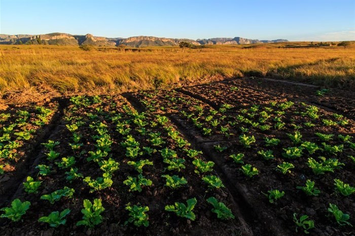 Source: ©Peter Wollinga via _