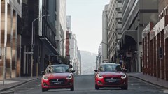 #OrchidsandOnions: Guess who's arrived...