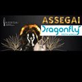 Dragonfly is Assegai Awards' Silver sponsor