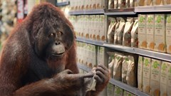 #OrchidsandOnions: Checkers ad is charming