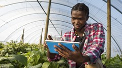 Separating the wheat from the chaff: Decision making in a world drowning in data