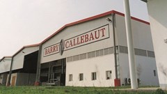 Salmonella halts production at world's biggest chocolate plant