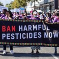 Are South Africa's pesticide rules outdated?