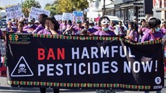 Are South Africa's pesticide rules outdated?