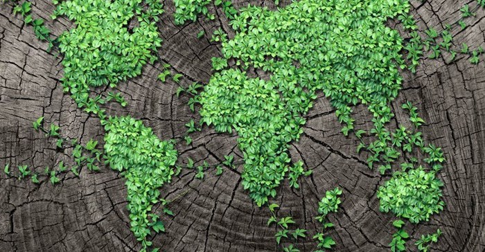 Source: © lightwise  Clean Creatives recently launched in South Africa