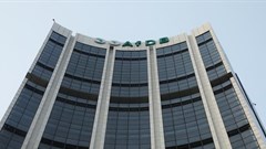 AfDB calls for more climate finance for Africa to support global goals