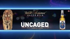 Brewing brands to be Africa fit