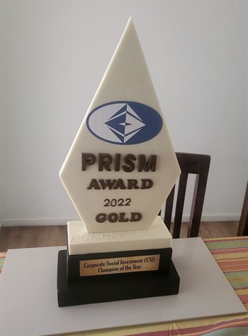 Gold Corporate Social Investment Prism Champion of the Year award