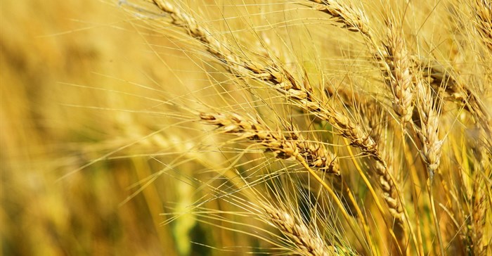 Source: Deneen LT via