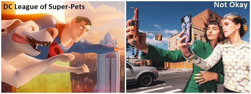 #OnTheBigScreen: Sommeliers, super pets and being internet famous