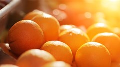 SA halts orange exports to EU to mitigate CBS risk