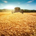 Can Ukraine's grain deal ease the global food crisis?