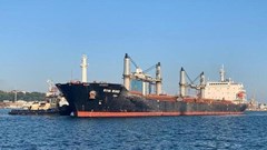 UN ship leaves Ukraine with wheat for Ethiopia