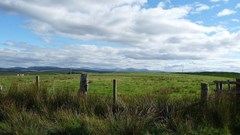 WCDoHS releases Sandkraal Farm to Communal Property Association