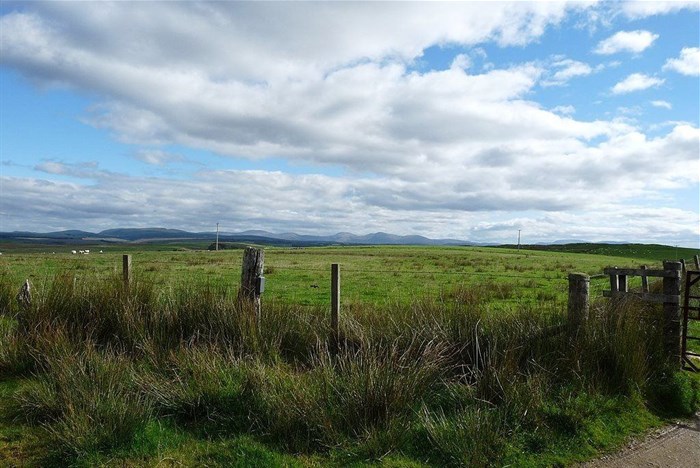 Source: Billy McCrorie via