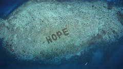 Hope Reef is part of a new project that pet food Sheba is embarking on, to help regrow coral reef and won many awards at the recent Cannes Lions 2022