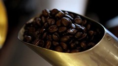 Uganda coffee exports plunge 29% in August on impact of drought