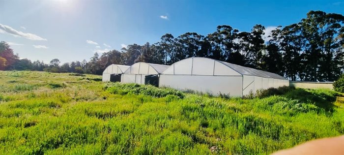 Cannabis farm for sale in Atlantis, Cape Town
