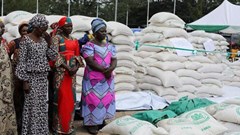 UN farm fund in talks with IMF to join forces on resilience trust - president