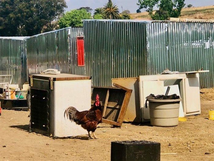 Temporary structures were erected for the 15 families remaining on Tilly’s farm.