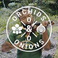 #OrchidsandOnions: Finding the line in funny advertising