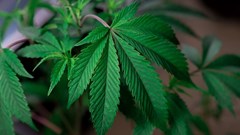 Image source: Kindel Media from