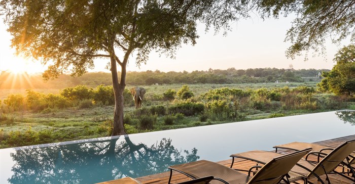 Image supplied: There is a lot to explore in the Kruger National Park