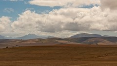 Land reform in South Africa is failing. Ignoring the realities of rural life plays a part