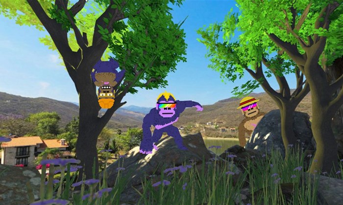 CyberKongz go ape in Africa