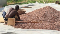 Source: feathercollector -