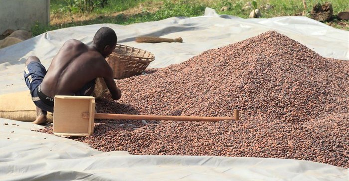 Source: feathercollector -