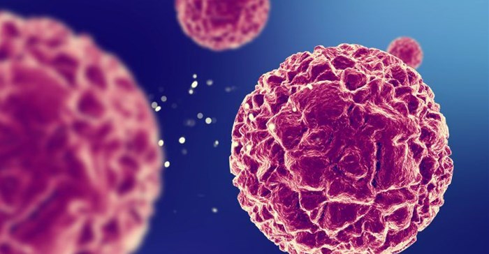 Source: Hisar Hospital.