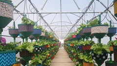 Redefine launches rooftop HandPicked CityFarm at Kenilworth Centre