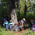 Job seekers wait beside a road for casual work offered by passing motorists in Eikenhof, south of Johannesburg, South Africa, 3 March 2022. Reuters/Siphiwe Sibeko
